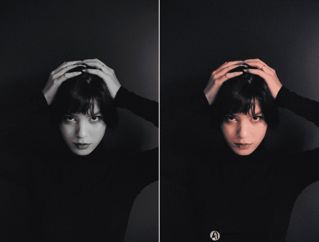 Picture Colorizer