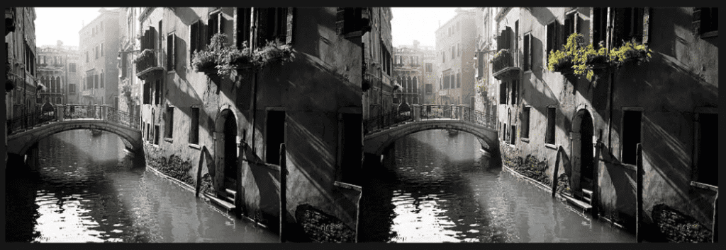 Picture Colorizer