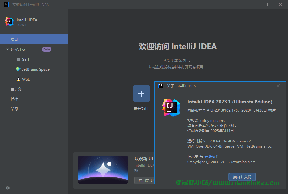 IntelliJ IDEA 2023.3.0 Idea2023中文激活版
