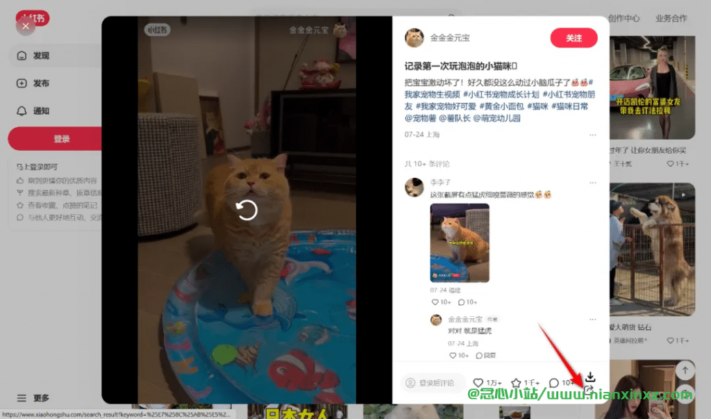 小红书下载器 v2.1 小红书视频、图片下载