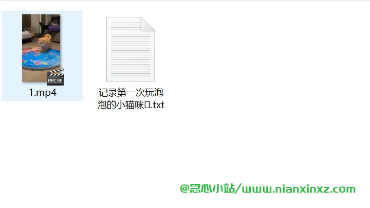 小红书下载器 v2.1 小红书视频、图片下载