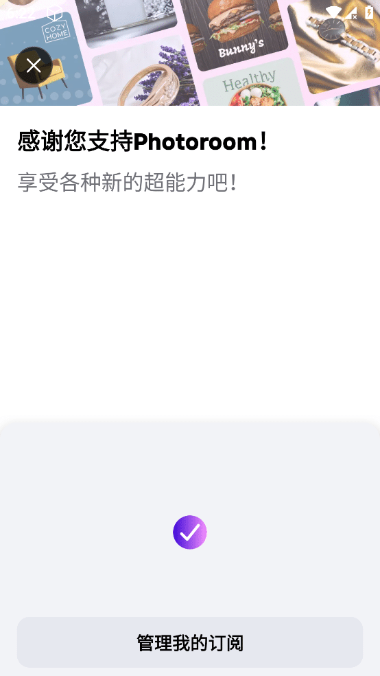 PhotoRoom v5.5.1 破解专业版 修图、去背景、特效照片编辑工具