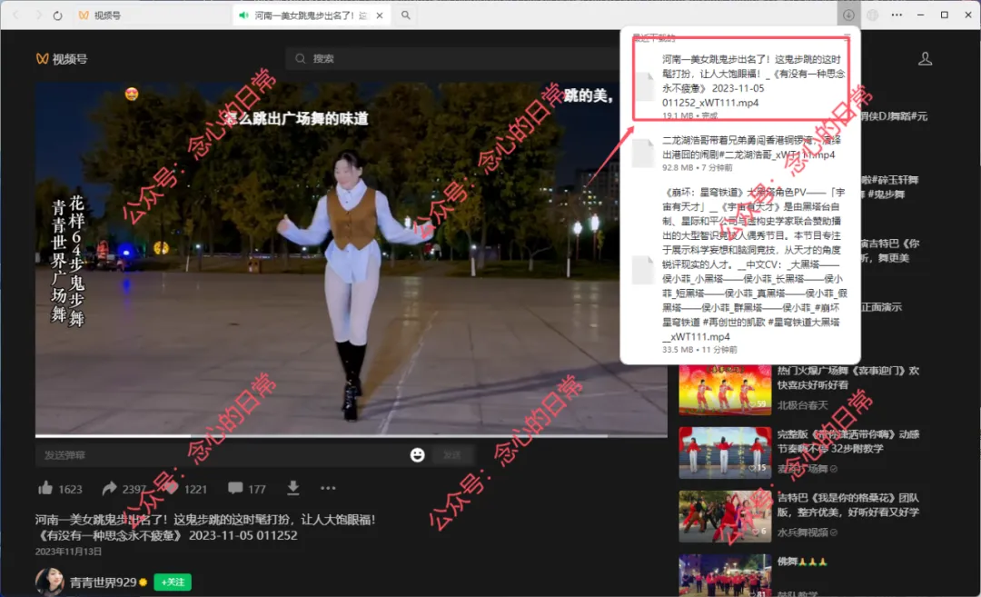 wx_video_windows_x64 免费PC端视频号下载工具