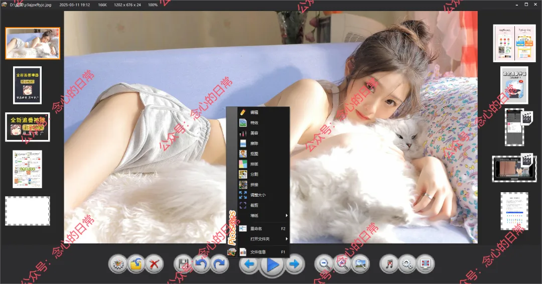 图片工厂 Picosmos 2.6.0.1 Green 绿色版 轻量图片处理工具