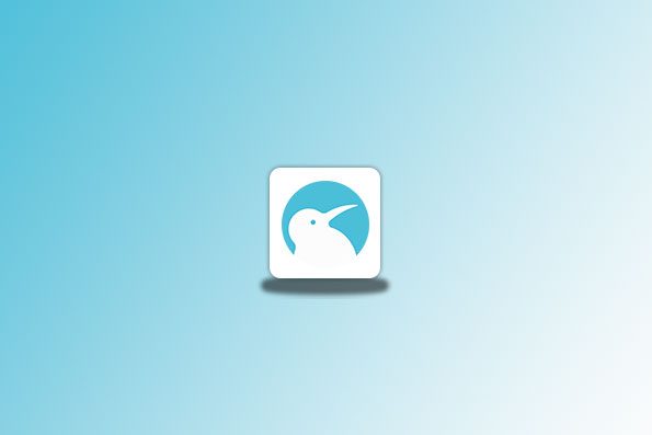Kiwi浏览器APP v120.0.6099.116 官方正式版 猕猴桃浏览器