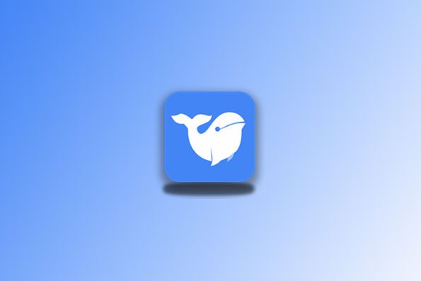 浪鲸下载 v1.0.0 磁力下载工具