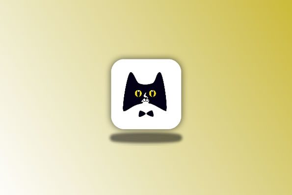 黑猫小说 v1.0.0 去广告版 阅读二开