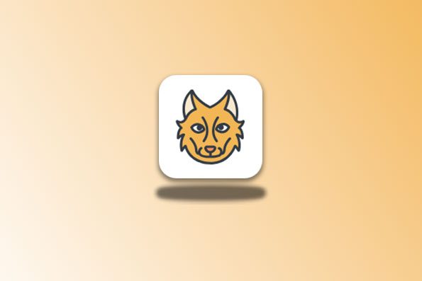 元萝卜 v1.0.0.2 自带了 Xposed 框架的虚拟空间沙盒工具